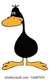 Funny Black Duck.