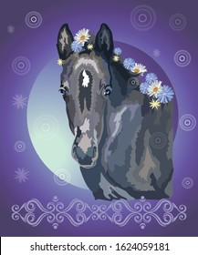 Funny black foal, vector colorful realistic illustration. Portrait of  little horse with flowers in mane isolated on blue gradient background with ornament and circles. Image for art and design 