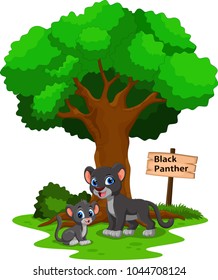 Funny black panther under a shady tree with a sign the identity 