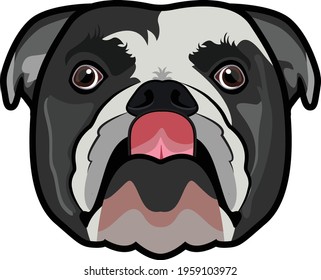 Funny black pug face vector portrait 