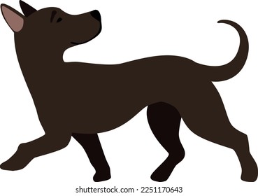 Funny black puppy walking. Dog side view