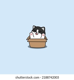 Funny black and white cat in the box cartoon, vector illustration