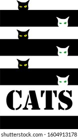 funny black and white cat faces on monochrome lines background