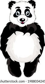 funny black and white panda bear stands on its paws , isolated on a white background