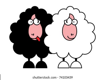 funny black and white sheeps