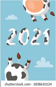 Funny black and white spotted cows or bulls fly in the clouds. Postcard or cover for the 2021 calendar - the year of the bull. Comic cartoon vector illustration.