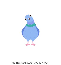 Funny blue pigeon watching tilting head front view flat style, vector illustration isolated on white background. Cute urban bird, decorative design element