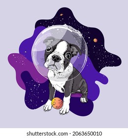 Funny Boston Terrier dog in an astronaut costume. Adorable puppy. Spaceman.  Humor card, t-shirt composition, hand drawn style print. Vector illustration.