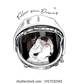 Funny Boston Terrier in the retro Astronaut's helmet. Follow your Dream - lettering quote. Humor card, t-shirt composition, hand drawn style print. Vector illustration.