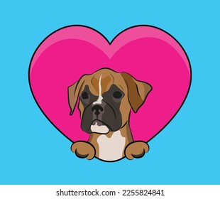 Funny Boxer Hund hängt mit Pfoten in einem großen Valentiner Tagesherz. Liebes Herz mit Kopf, Herz und Fußabdruck für Haustiere. Hundewand mit rosafarbenem Herz-Cartoon-Symbol. Valentinstag für Hundefliegen.