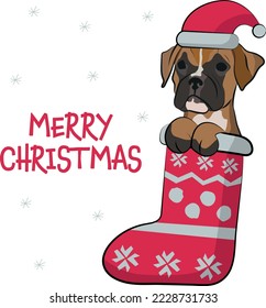 Funny Boxer Hund mit Pfoten in Weihnachtsbesatz. Schöne Urlaubskarte mit süßem Hundekopf. Neujahr Postkarte. Wintergeschenk, Haustier in Socken, süßes X-mas-Design mit einem Lieblingstier in einem Hut.  