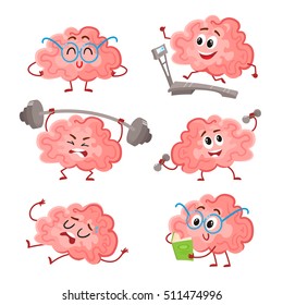 Funny brain training with barbell, dumbbells, on treadmill, reading and resting, cartoon vector illustration on white background. Set of cute brains as a metaphor of brain training and development