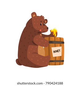 Funny brown bear eating honey from wooden barrel. Cartoon forest animal with short tail, small ears and shiny eyes. Flat vector for kids book, sticker or greeting card