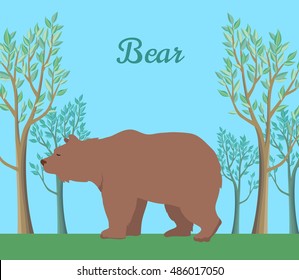 Funny brown bear on background of forest. Brown bear walking on grass in forest. Animal adorable brown bear vector character. Charming brown bear. Wildlife character