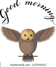 Funny brown beige owl sitting on a branch spreading wings with lettering above it. Isolated bird on white background, vector. Originally designed character, vector barred owl sitting on the branch.