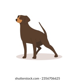 Funny brown big dog. Dogs collection. Vector illustration of cute breeds dogs in trendy flat style. Isolated on a white background