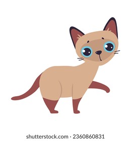 Funny Brown Cat with Cute Snout as Domestic Pet Walking Vector Illustration