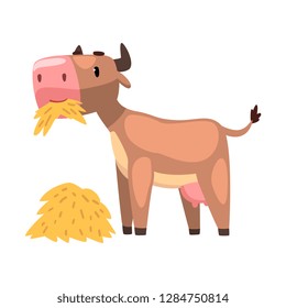 Funny brown cow eating hay, farm animal cartoon character vector Illustration