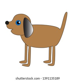 Funny brown dog with long thin legs isolated by white background.