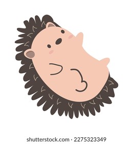 funny brown  Hedgehog mammal cartoon