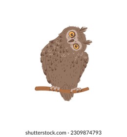Funny brown long-eared owl sitting on branch tilting head flat style, vector illustration isolated on white background. Night forest bird, predatory animal, decorative design element