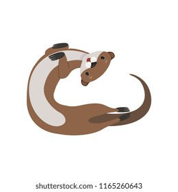 Funny brown otter animal character vector Illustration on a white background