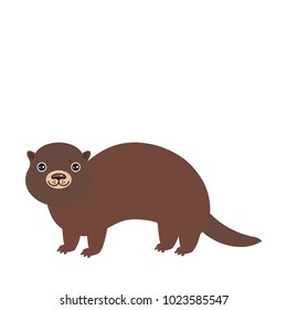 Funny brown otter on white background. Kawaii. Vector