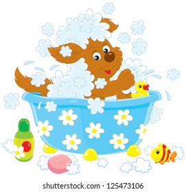 Funny brown pup washing in a small bath