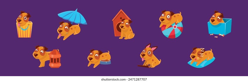 Funny Brown Puppy Dog in Different Activity Vector Set