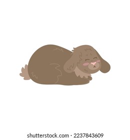 Funny brown rabbit sleeping on white background. Cute bunny cartoon illustration. Farm animal concept