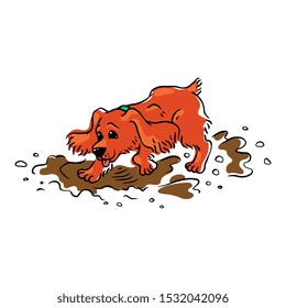 Funny brown spaniel dog runs and jumps through the mud and puddles. Spaniel dog pet behavior. Isolated vector hand drawing illustration of an animal.