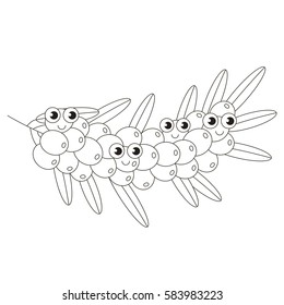 Funny buckthorn cartoon. Outlined object with black stroke.