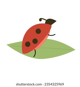 funny bug on a green leaf stands on its hind legs