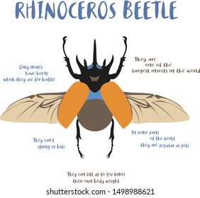 Funny bug vector image for toddler kids. Colorful beetle. For fashion design, poster, card, web, print with insects. Colorful cartoon style illustration. Elements are isolated.