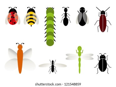 funny bugs