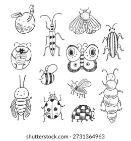 Engraçado insetos e insetos, borboleta linha vetor mão desenhado ilustrações conjunto.