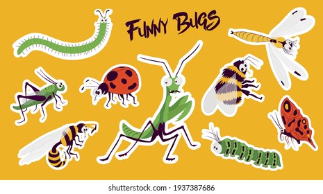 funny bugs vector illustration set. Grasshopper, ladybug, bee, bumblebee, mantis, worm, caterpillar, hornet scolopendra hornet, butterfly stickers. Children Cute cartoon comic creatures Clipart sketch