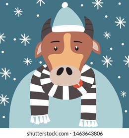 Funny bull in a hat and a sweater under the snowfall. New year vector illustration.