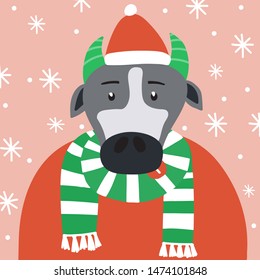 Funny bull in a hat and a sweater under the snowfall. New year vector illustration.