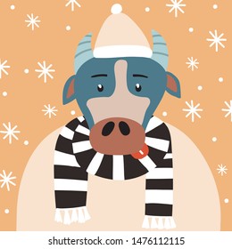 Funny bull in a hat and a sweater under the snowfall. New year vector illustration.