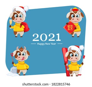 Funny bull, set of four poses. Cute bull cartoon character in sweater, the symbol of Chinese New Year 2021. Lettering translates as Prosperity. Vector illustration