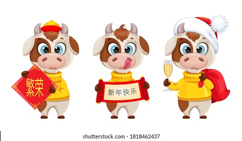 Funny bull, set of three poses. Cute bull cartoon character in sweater, the symbol of Chinese New Year 2021. Left lettering translates as Prosperity, right - Happy New Year. Vector illustration