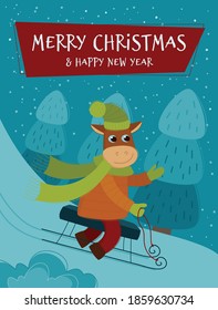 Funny bull sledding from a snowy mountain. New year banner for your design. Vector Christmas card.