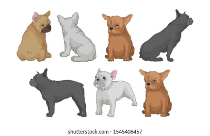 Funny Bulldog In Different Poses Vector Illustrated Set