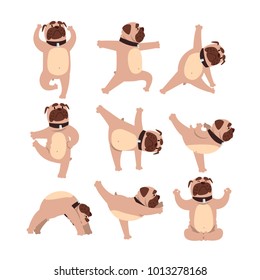 Funny bulldog in different poses of yoga. Healthy lifestyle. Dog doing physical exercises. Cartoon domestic animal character. Colorful flat vector design