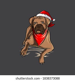 funny bulldog dog wearing santa claus christmas costume