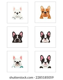 Funny Bulldog face, isolated vector illustration for kids and adults.