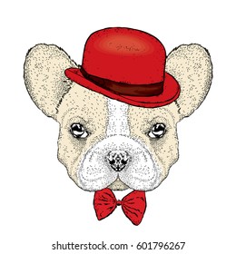Funny bulldog with a hat and a butterfly. Vector illustration. Beautiful dog.
