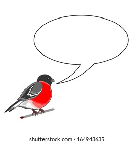 A funny bullfinch with a chatting bubble. Vector-art illustration on a white background