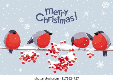 Funny Bullfinches and Rowan tree under the snowfall. Vector Christmas greeting card. For Christmas decoration, posters, banners, sales and other winter events.